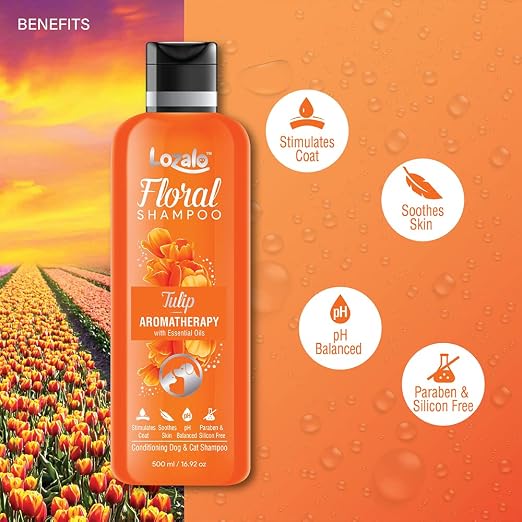 TULIP SHAMPOO 750 ML