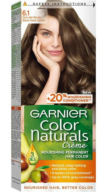 Garnier - Naturals Dark Ash Blonde Hair Color - Number 6.1