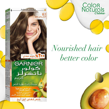 Garnier - Naturals Dark Ash Blonde Hair Color - Number 6.1